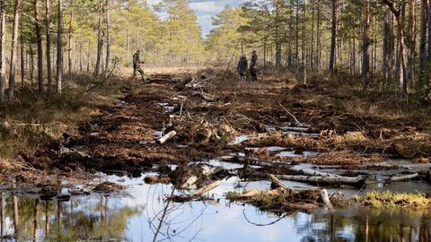 Soostamine ohustab Pärnu maakonda, kliimapoliitika keerises