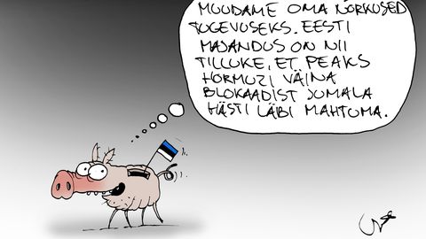 Eesti vajab majanduslikuks kriisiks valmistumist