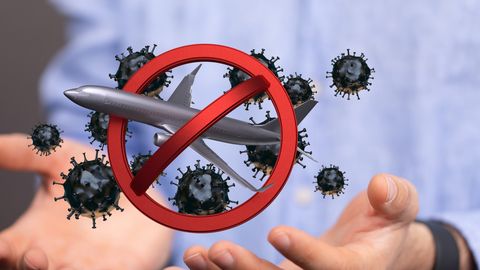 Kruiisilaeval levinud hantaviirus: ekspert selgitab reisijaid ohustava riski