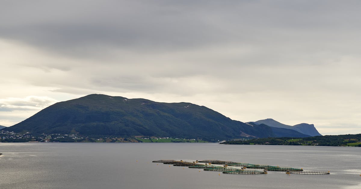 Norra kalakasvatuse saaste uuritakse fjordides