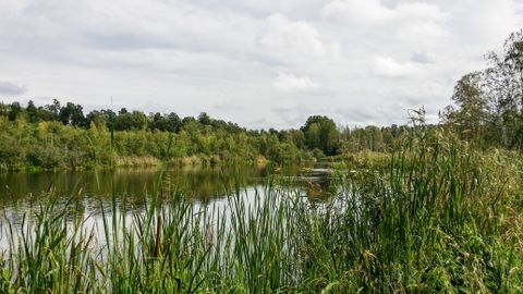 Rootsi kohus saatis eluks ajaks vangi ema tapnud ja tükeldanud paari