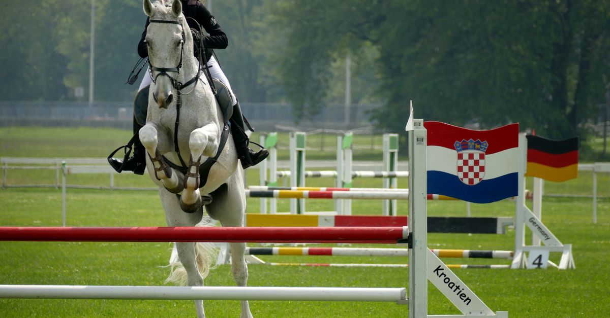Eesti ratsasportlased särasid rahvusvahelistel võistlustel