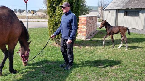 Kloonvarss Wodan M Alfa teeb esimesi samme väljaspool tallissid