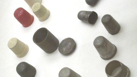 Teadusajakirjade vastu võetud põnev uurimus sõrmkübaste ajaloost
