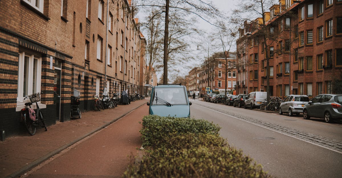 Amsterdam keelustab liha ja fossiilkütuste avalikud reklaamid