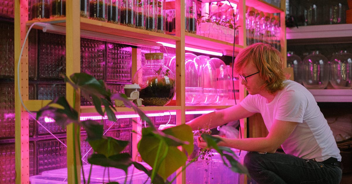 US Reclassifies Marijuana to Lower Danger Category