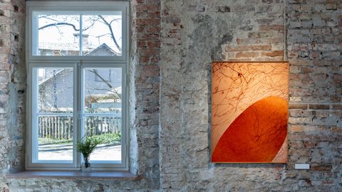 Kuus kunstnikku uurivad kerguse olemust kahe näitusega