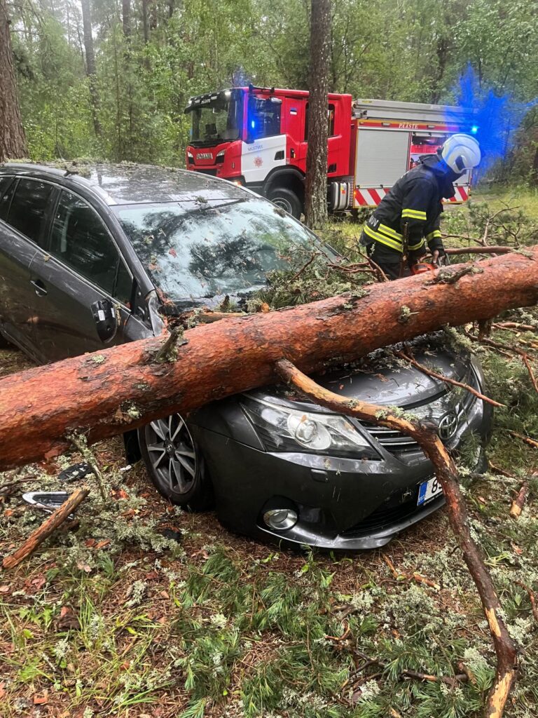 Torm tõi Mustvee vallale 14 päästeväljakutset, Raadna külas kukkus puu sõiduki peale