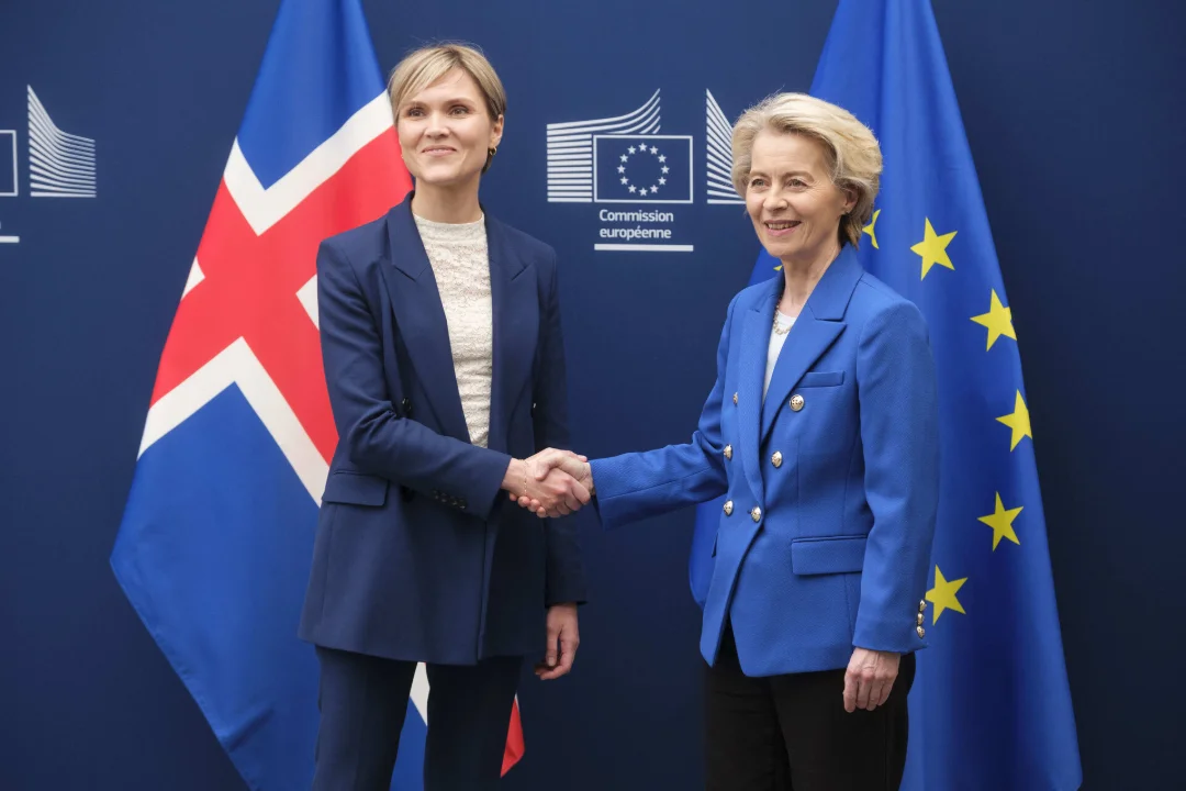 Islandi opositsioon nõuab Euroopa poliitikute eemalehoidmist augusti referendumist