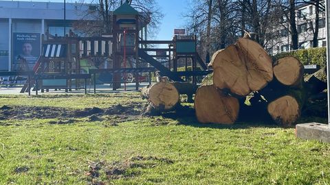 Tartu kesklinn muutub: puid langetati kultuurikeskuse jaoks