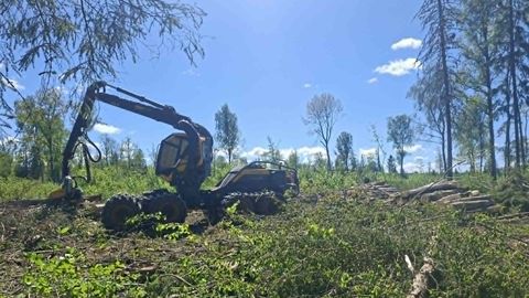 Keskkonnaamet peatas pesitsusrahu kaitseks kaks raiet Eesti kaitsealadel