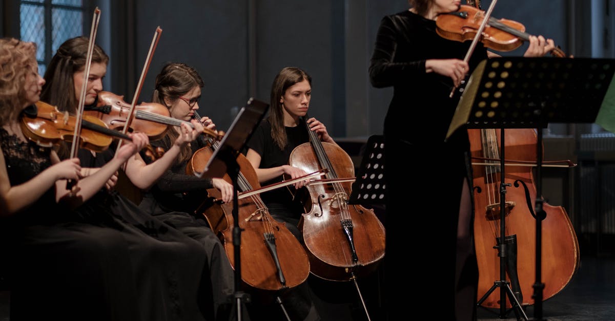 VHK orkester ja Monika-Evelin Liiv esitavad Rasmus Puuri uut teost