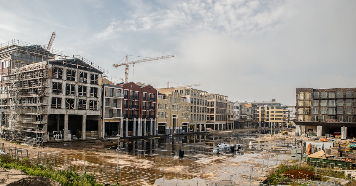 Kohaidentiteet teeb Tallinnast tugeva linnakonkurent