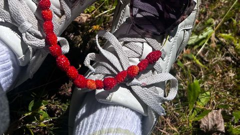 The magic of Midsummer: Estonian summer in full bloom