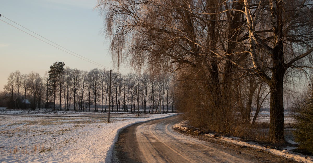 Estonia braces for cooler weather as May begins