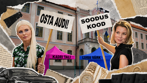 Riigikogu liikmed kaitsevad osalemist ehete, mööbli- ja autoreklaamides