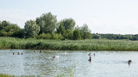 Swimming in Lake Harku not currently recommended