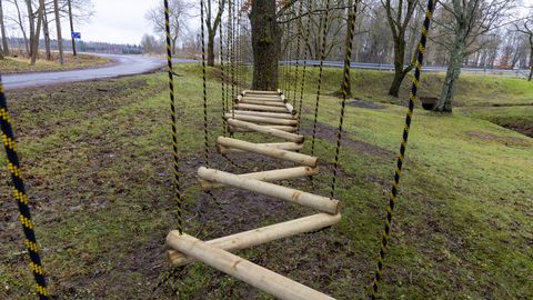 Eesti seikluspargid: kus saab parima hinnaga pereelamus