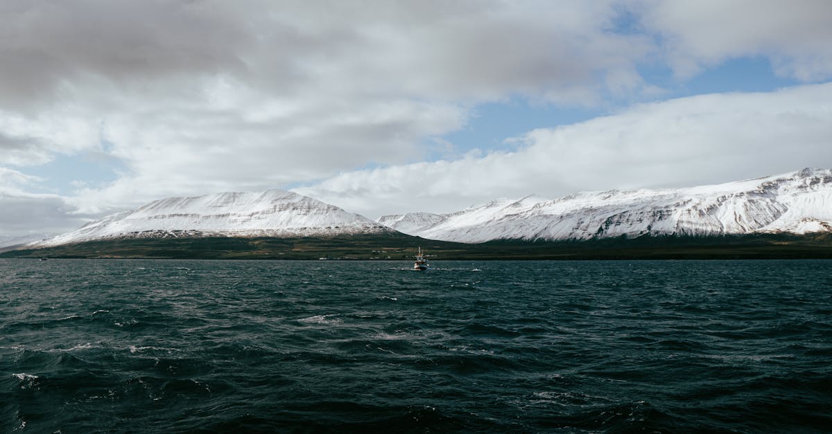 Choir transforms whale recordings into ocean celebration song