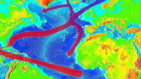 What will happen to Estonia's climate if the Gulf Stream stops?