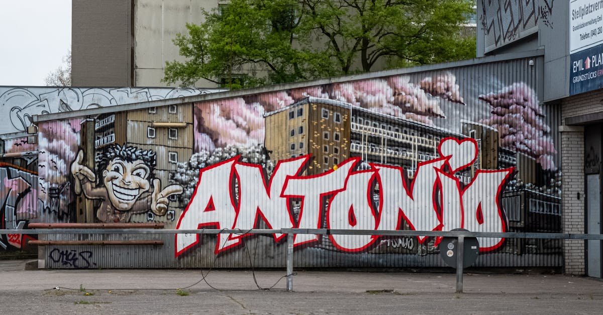 Eesti kunstnik Riivo Kruuk toob Eesti motiivid USA tänavaseintele