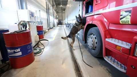 Eesti piiripunktid jäävad suvel öösel suletuks