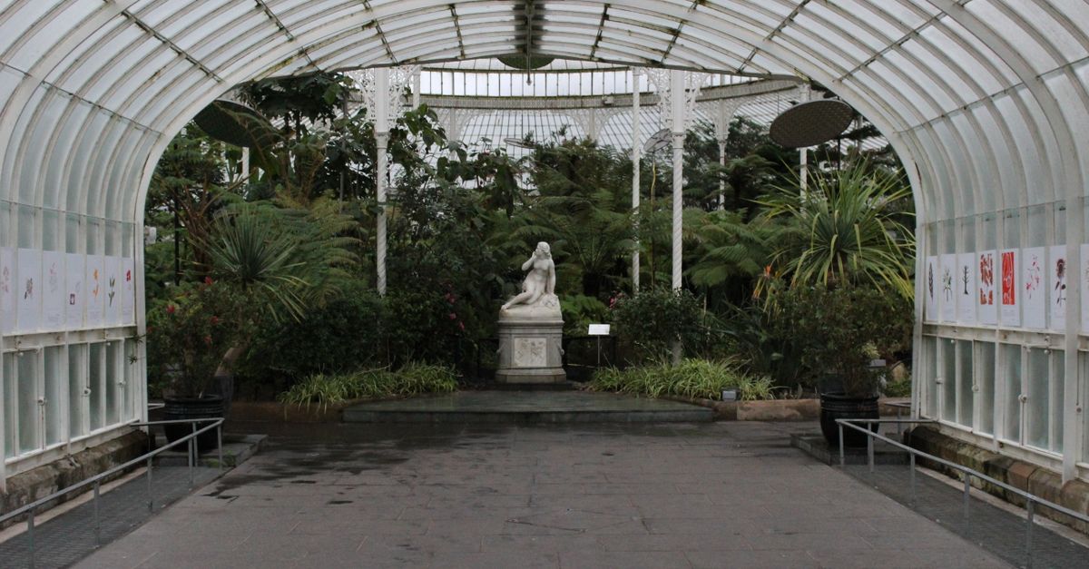 Tartu Ülikooli botaanikaaia troopikahoones avati skulptuurinäitus