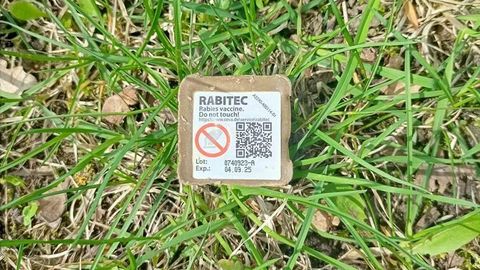 PTA warns: rabies threat persists in Estonia and across Europe