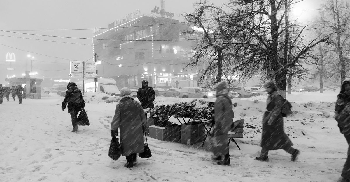 Снежный апрель в Москве: закрыты аэропорты и повалены деревья