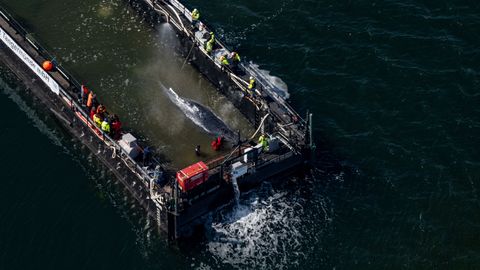 Küürvaal Hope transportitakse Põhjamerre tagasi