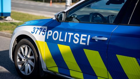 Harjumaal tabati relva lasknud joobnud mees