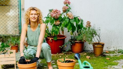 Zummibuffee: 15 nippi oma aia muutmiseks mesilaste paradiisiks