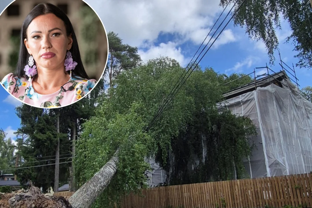 Kiisal kukkus renoveeritavale majale puu: Silvia Ilves süüdistab Saku valda